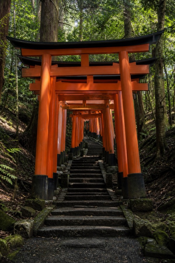 Vermilion torii gate tunnel at Fushimi Inari, Kyoto